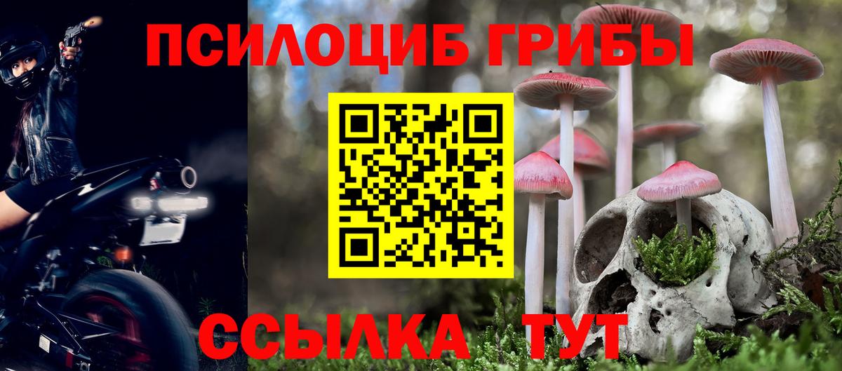 Псилоцибиновые грибы MAGIC MUSHROOMS Донецк